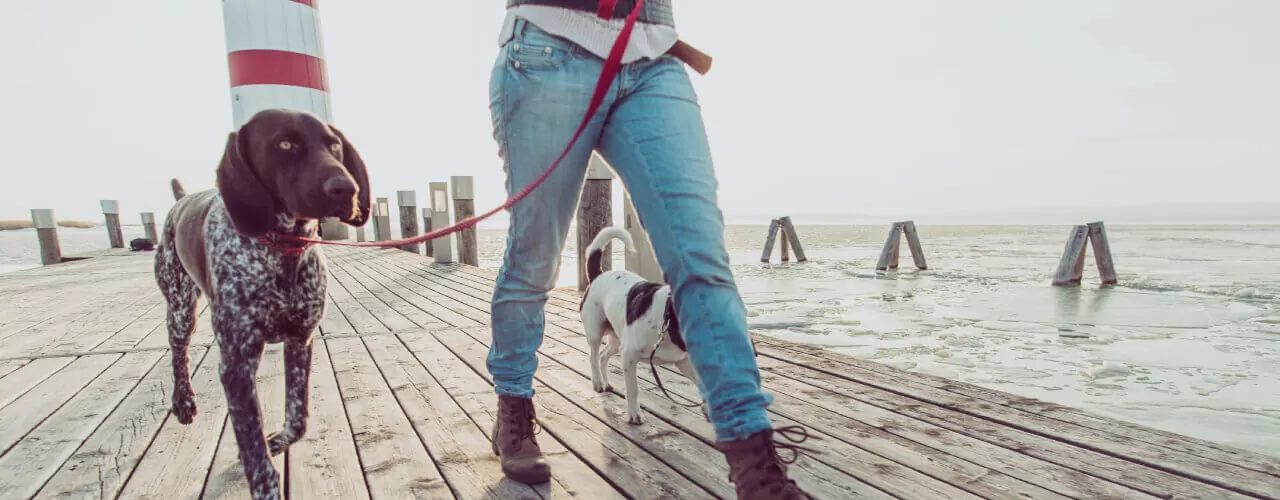 5 tips to get more physical activity in your routine